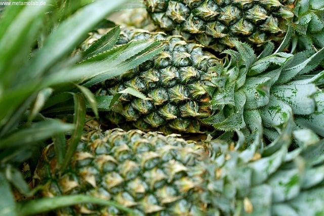 Die Wissenschaft hinter Ananas und Muskelkater